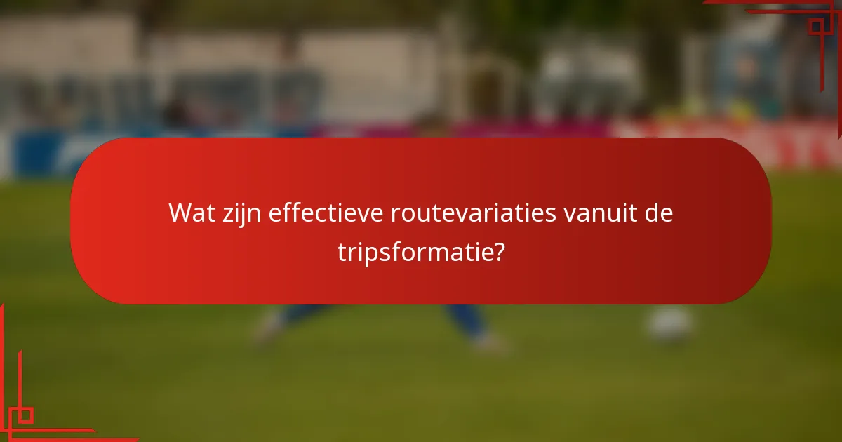 Wat zijn effectieve routevariaties vanuit de tripsformatie?
