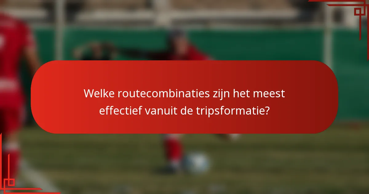 Welke routecombinaties zijn het meest effectief vanuit de tripsformatie?